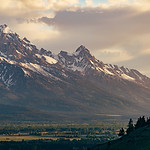 Image by Jesse Gardner