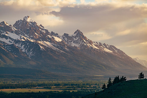 Image by Jesse Gardner