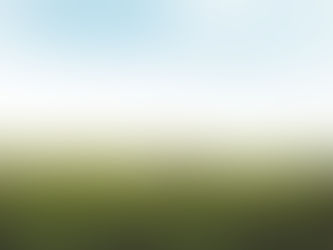 Cool VS Warm Season Grasses