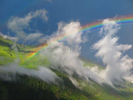 Statement of Hope
