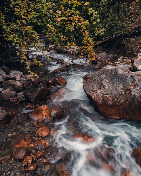 Image by Max LaRochelle
