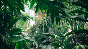 A Kiss from Rose | Revealing Season