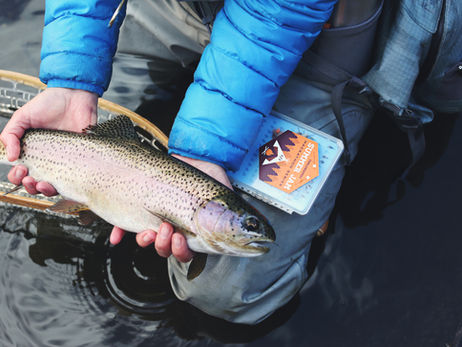 ICAST 2023: Everything You Need to Know