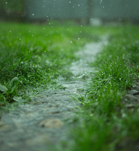 Image by Roman Synkevych