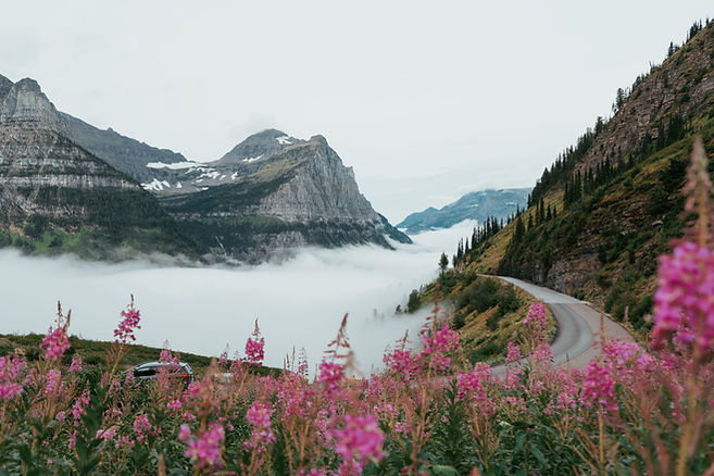 Image by Tevin Trinh