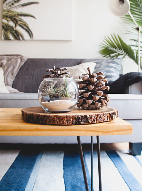 Image by Dane Deaner