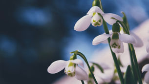 February/ March 2026 information 