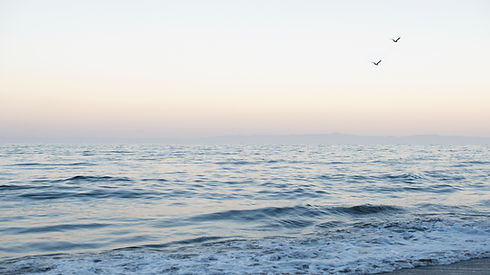 Image by Liana Mikah
