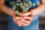 Growing the Good: Mindfulness Skills for Hardwiring Happiness