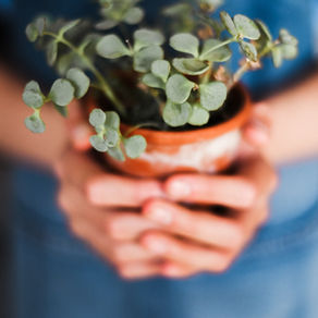 Gardening improves the mind