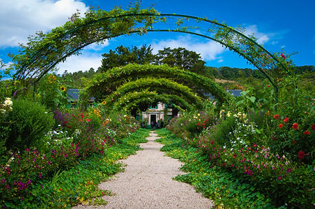 Ingenium Designs Garden Design and Planting
