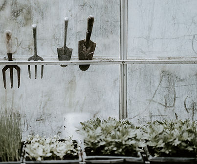 Image by Annie Spratt