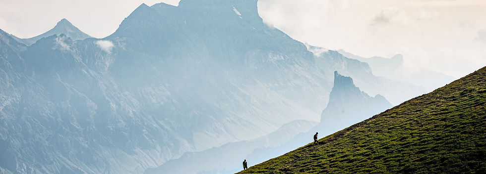 Image de Michael Briguet