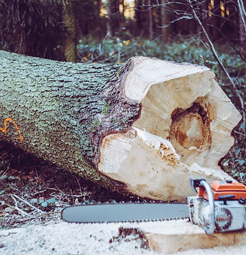 Image by Markus Spiske