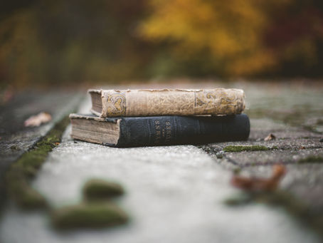 Book Publishers in Dillon, Montana