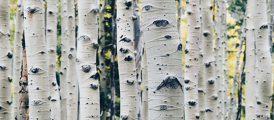 Image by Peng Chen