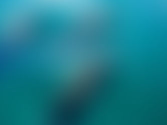 The Meaning and Importance of Drop by Drop: Water Conservation Principles