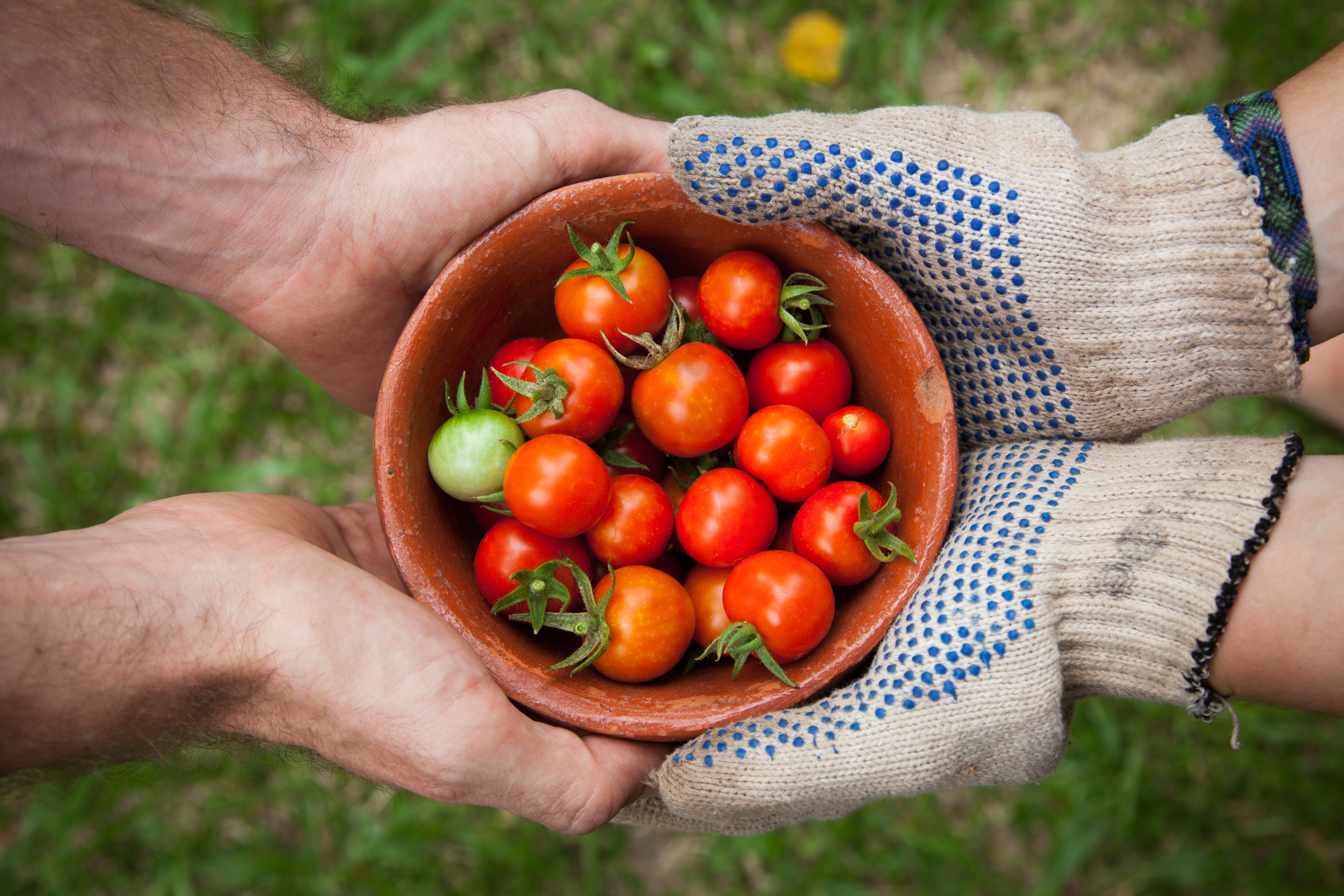 People sharing a harvest — photograph by Elaine Casap