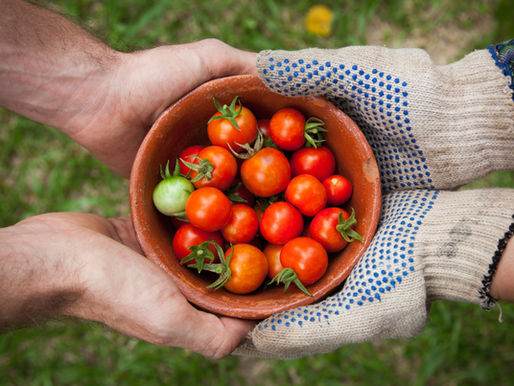 The Gift of Plants- Share the Love