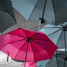 Image by Noah Näf
