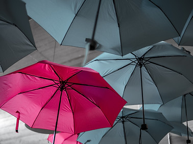 Image by Noah Näf
