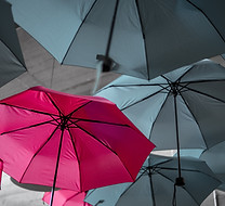 Image by Noah Näf