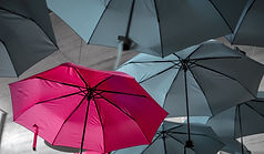 Image by Noah Näf