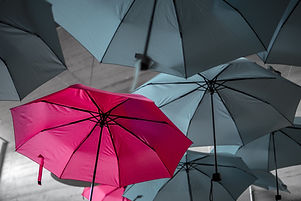 Image by Noah Näf
