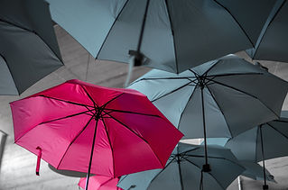 Image by Noah Näf
