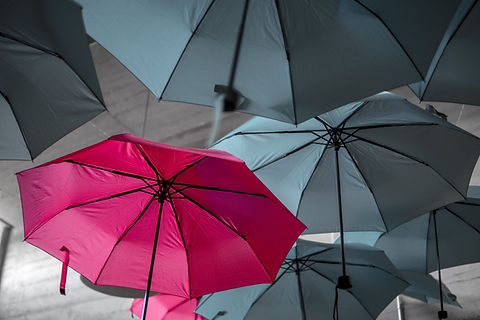 Image by Noah Näf