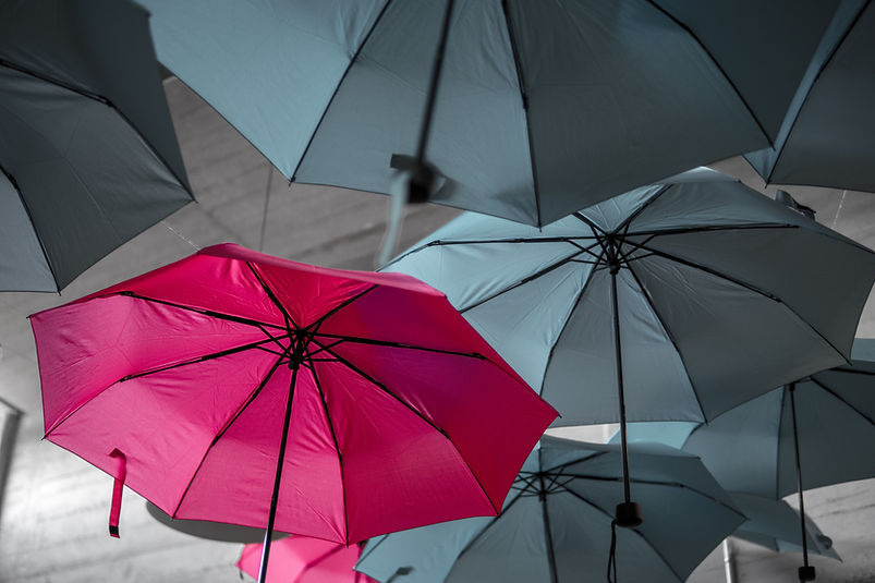 Image by Noah Näf