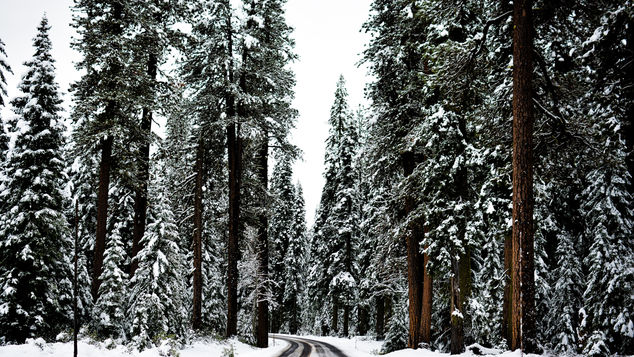 12 Tips to Beat Holiday Stress and Rediscover Joy