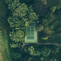Image by Ryan Searle
