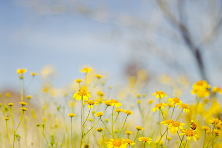 Image by Brandon LeClaire