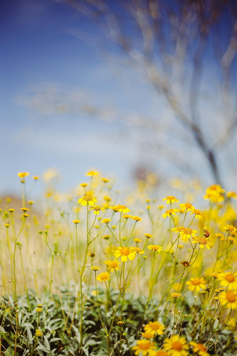 Walking Through Uncertainty Together: Book Study and Workshop