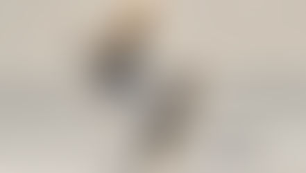 Die Rolle von Mediation in der agilen Transformation.