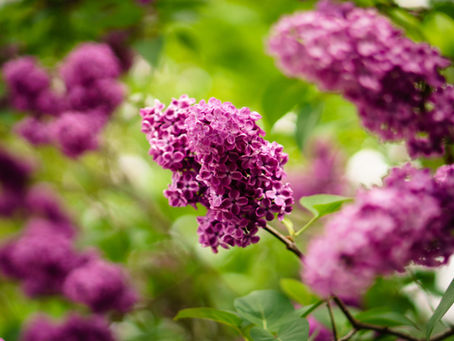 Time to Take a Breath