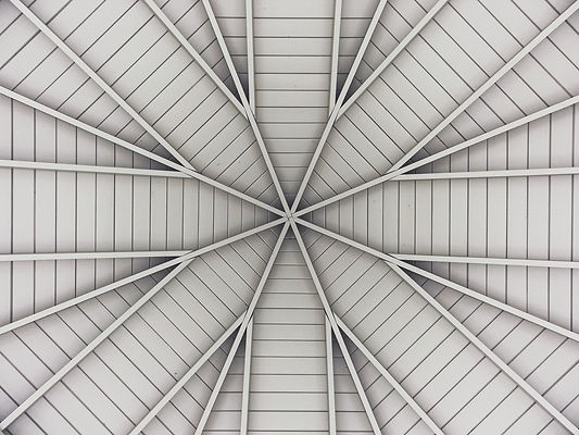 Image by Kyle Johnston