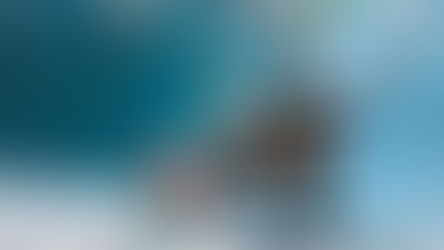 Das Gehalt von Fachangestellten für Bäderbetriebe in der Schweiz im Überblick