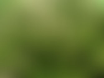 Beleg groen in box 3