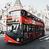 This bus