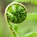 Image by Diana Parkhouse