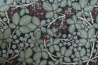 Image de Nathan Anderson