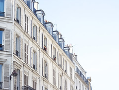 Image de Dylan Mullins