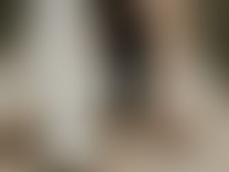 behind the price tag: Officiant & License Budget Breakdown