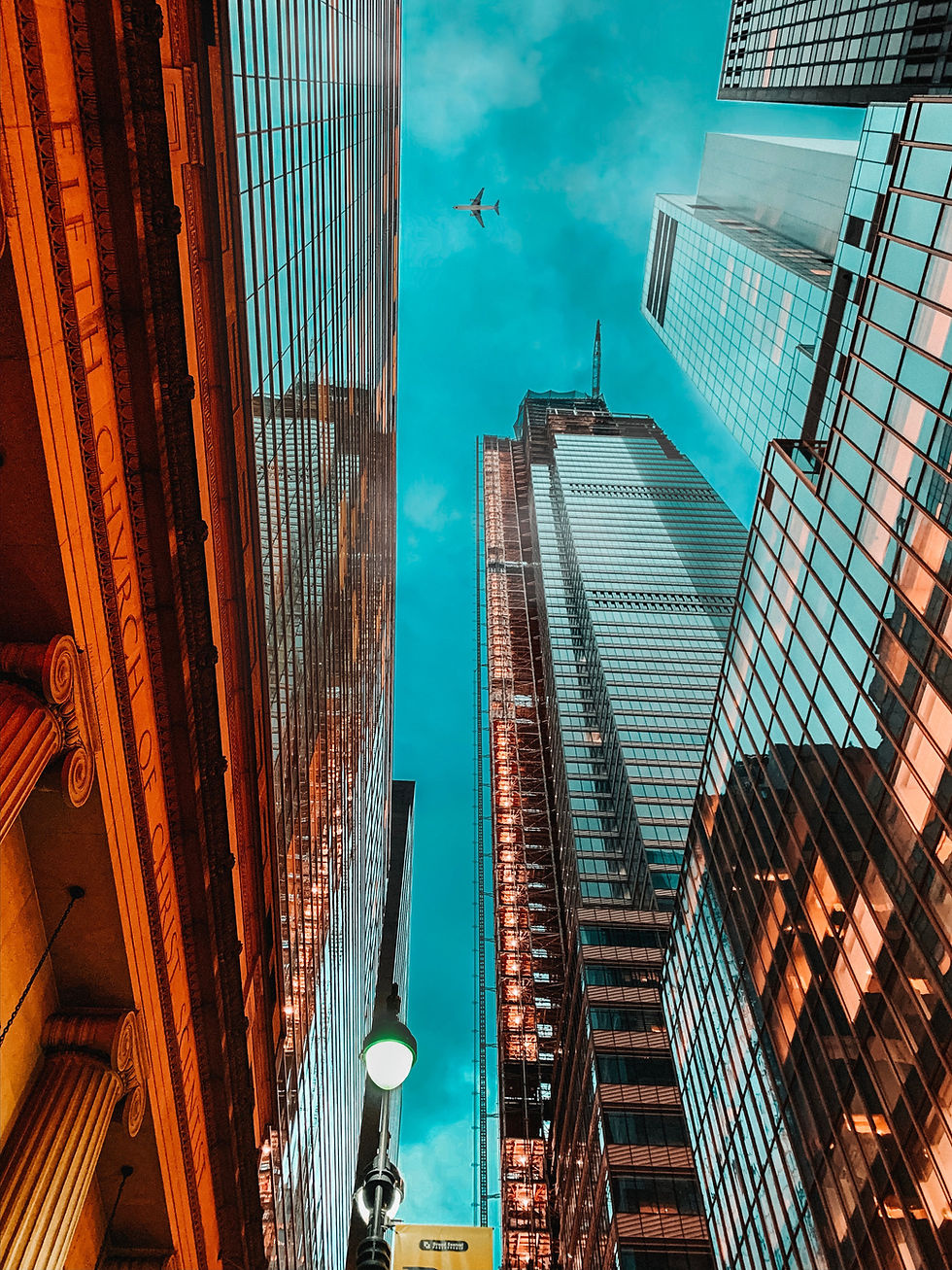 Image by Andrés Moskona