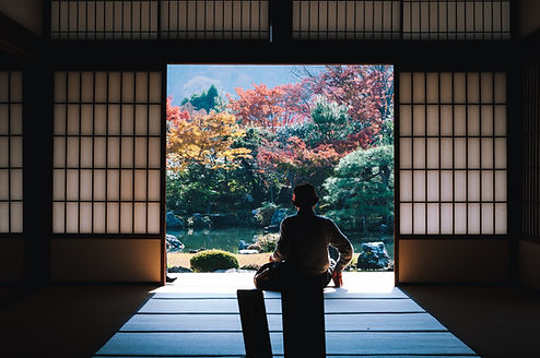 Japan view
