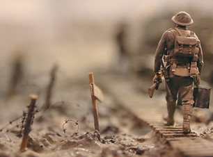 Image by Stijn Swinnen