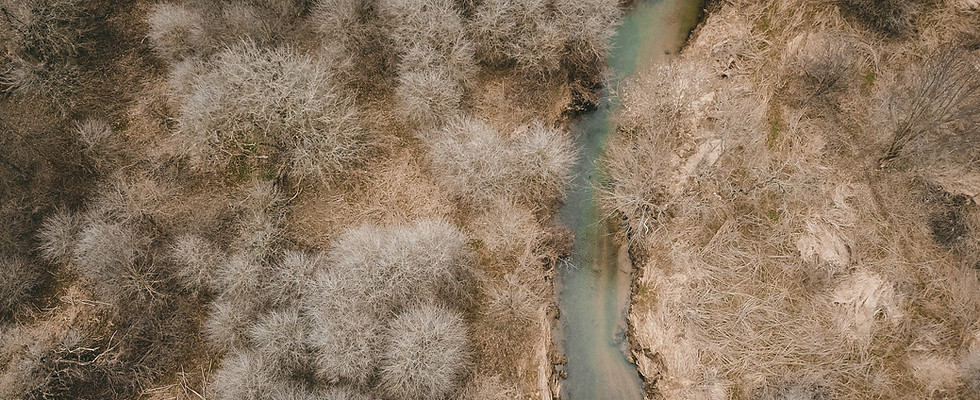 Image de Keagan Henman