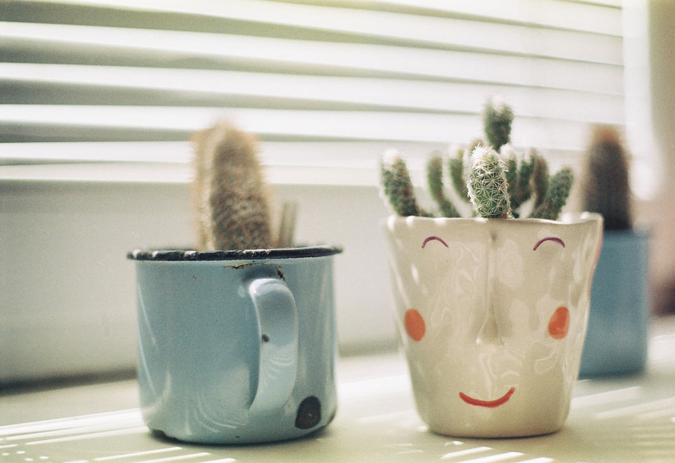 Image by Taylor Heery